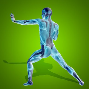 stong insan ya da kaslı adam