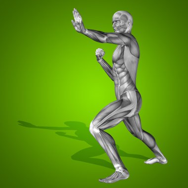 stong kasları ile insan