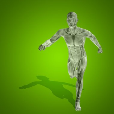 kaslar ile güçlü insan