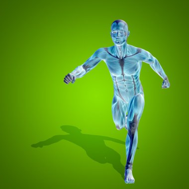 stong kasları ile insan