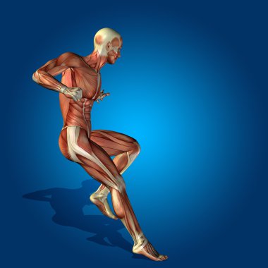 stong insan veya adam