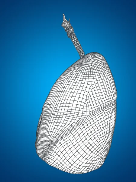 Mesh respiratory system — Stock Photo, Image