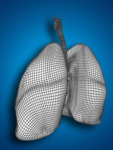 Mesh respiratory system — Stock Photo, Image