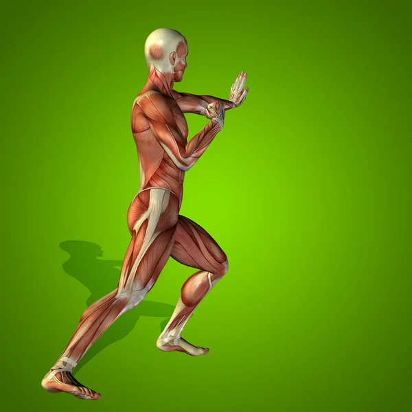 Stong humano ou homem com músculos — Fotografia de Stock
