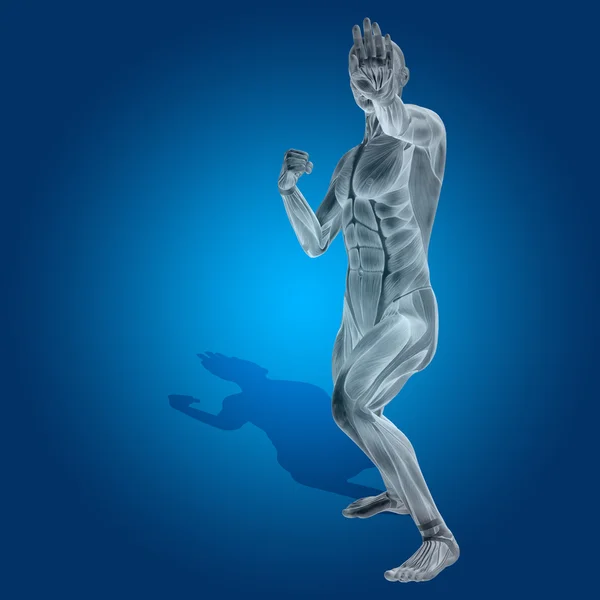 Kavram ya da kavramsal stong adam anatomisi — Stok fotoğraf