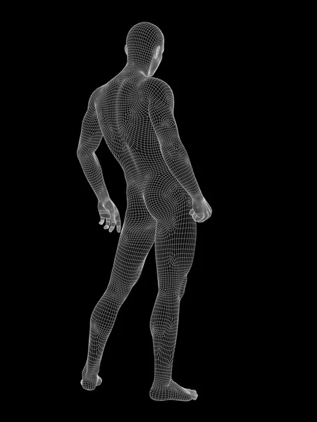 Męskiej anatomii wykonane z białego — Zdjęcie stockowe