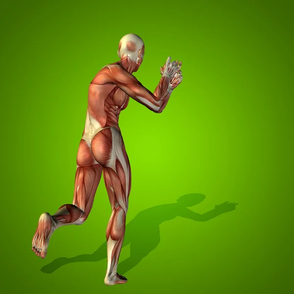 Stong humano ou homem com músculos — Fotografia de Stock