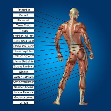 adam kasları ve metin