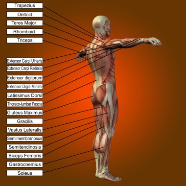 adam kasları ve metin