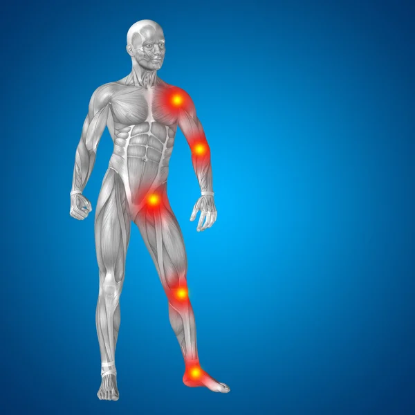 Mann mit Muskeln für Anatomie-Designs — Stockfoto