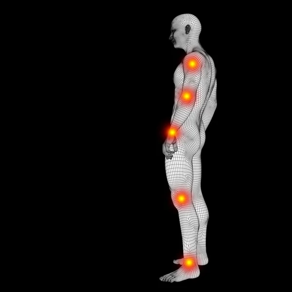 Insan anatomisi kafes — Stok fotoğraf