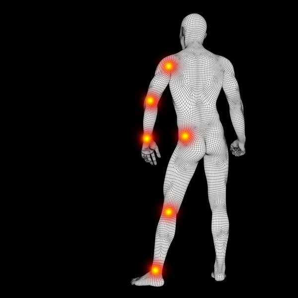 Insan anatomisi kafes — Stok fotoğraf