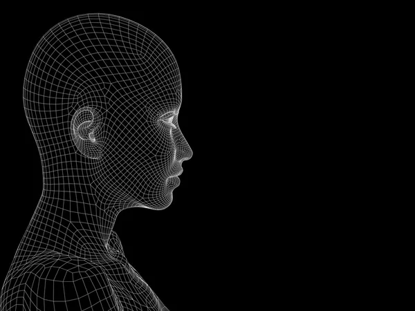 와이어 프레임의 인간의 머리 — 스톡 사진