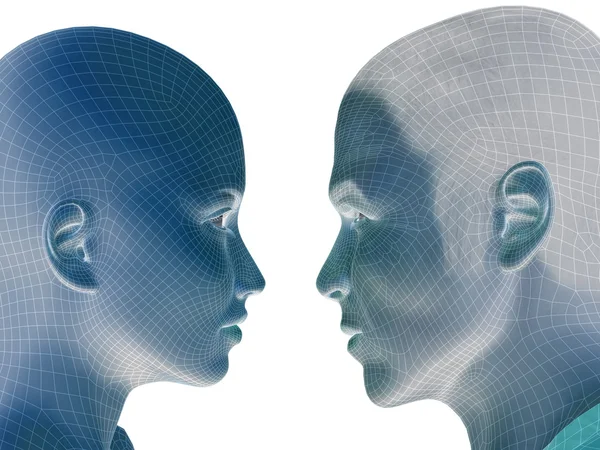 Human male and  female heads — Stock Photo, Image