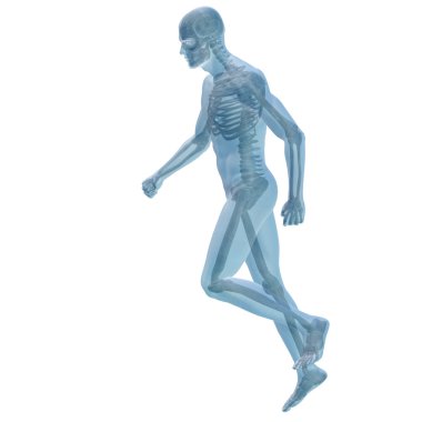 kavramsal adam veya insan