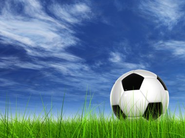 taze ot futbol topu