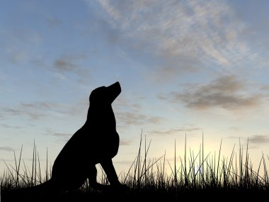 sevimli köpek siluet