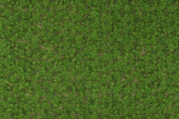 Textura de grama selvagem — Fotografia de Stock