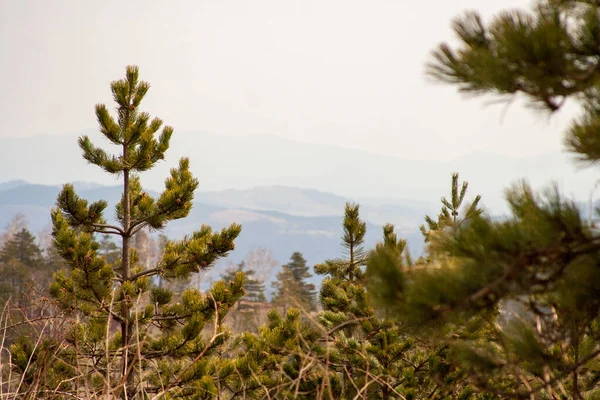 Top of Maljen Mountain, Serbia, April 2, 2021 - View from the top of Maljen Mountain, in Serbia, called \