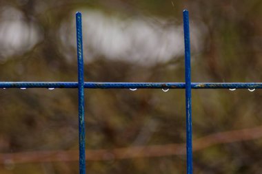 Mavi çitin üzerinde yağmur damlaları duruyor..