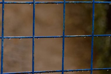 Mavi çitin üzerinde yağmur damlaları duruyor..