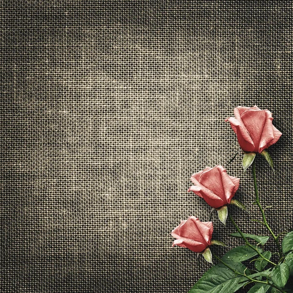Cartão postal vintage para congratulação com rosas — Fotografia de Stock