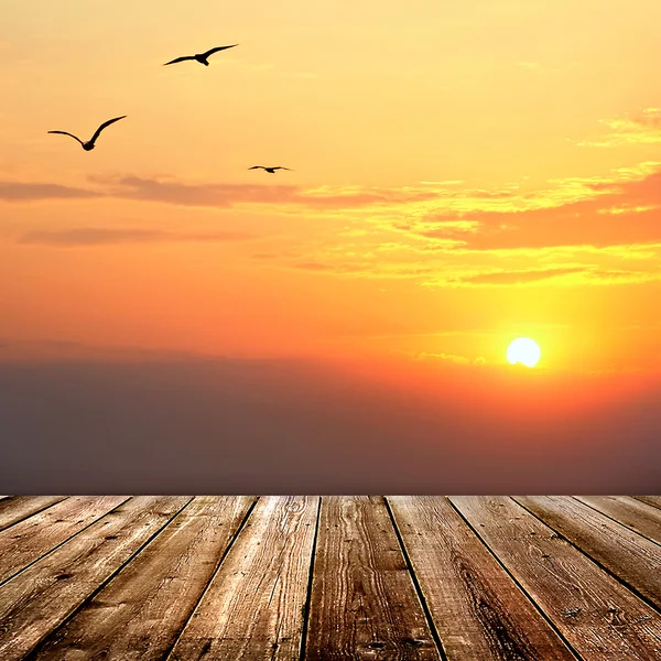 Zonsondergang met meeuwen en een houten planken vloer achtergrond — Stockfoto