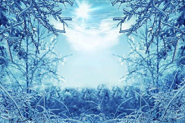 Winter background with icy branches in the foreground — Stock Photo, Image