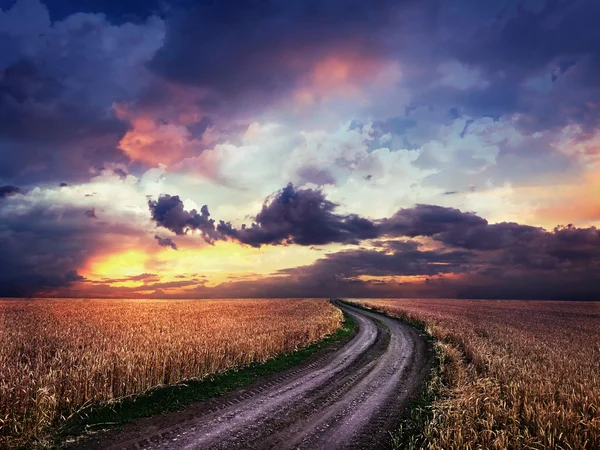 Estrada de terra no meio de um campo de trigo — Fotografia de Stock