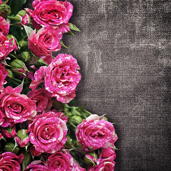 Bouquet of pink roses on a dark fabric background — Stock Photo, Image