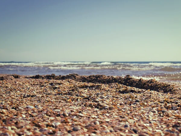 Playa marina de Shelly en verano la luz del sol —  Fotos de Stock