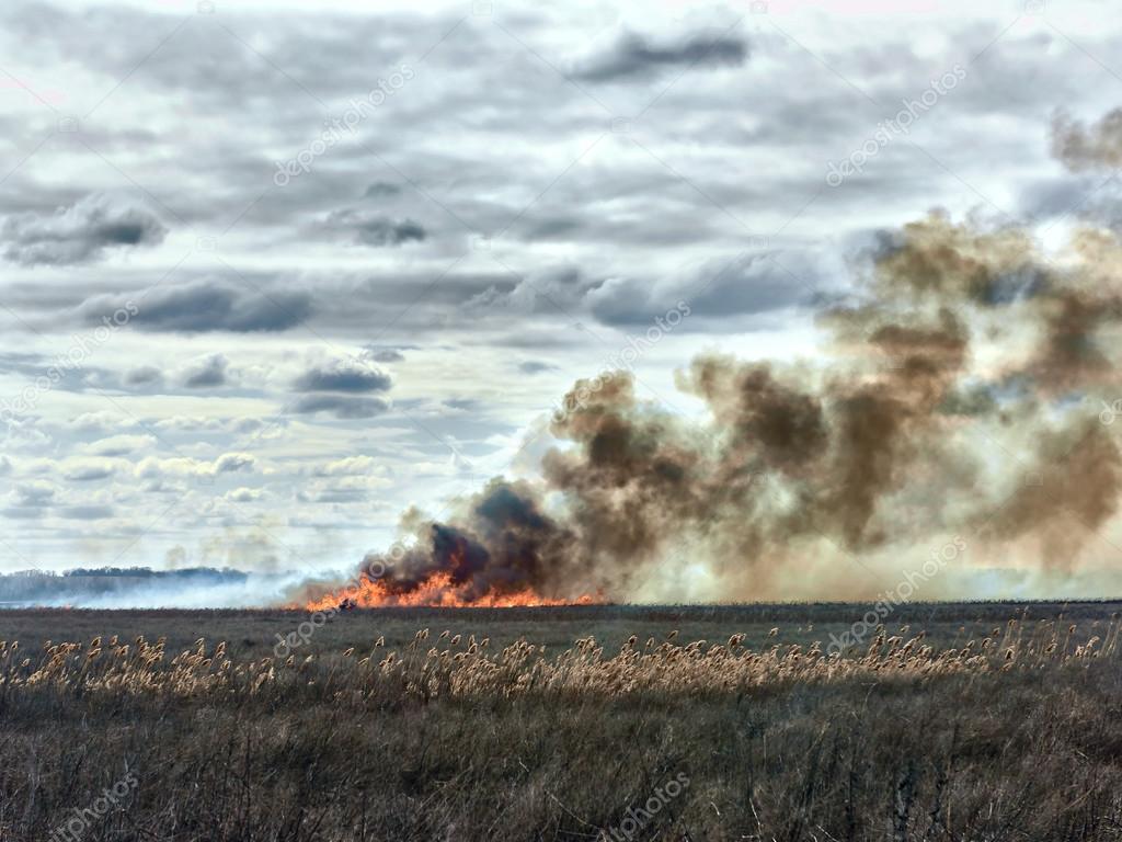 Fire in the steppe. Burnout dry last year's grass