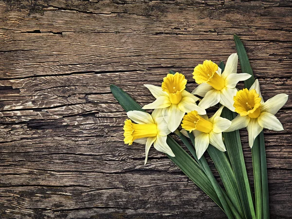 Bloemen gele narcissen op een houten vintage achtergrond — Stockfoto