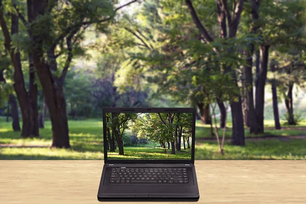 Laptop på et bord mod en sløret baggrund skov - Stock-foto