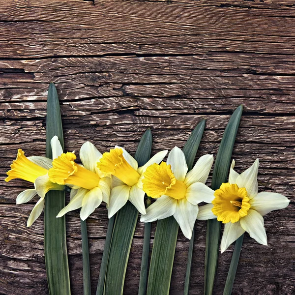 Bloemen gele narcissen op een houten vintage achtergrond — Stockfoto