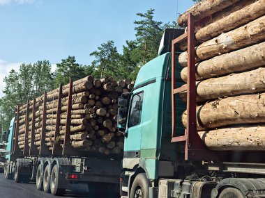 Sütun kereste kamyonları ile yolda hareket günlükleri