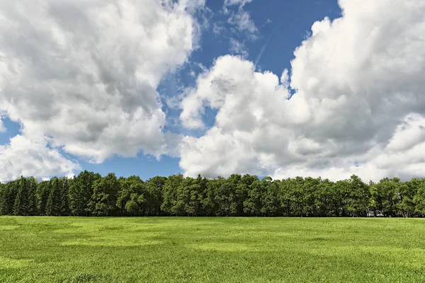 草木と雲と美しい日当たりの良い夏の風景 — ストック写真