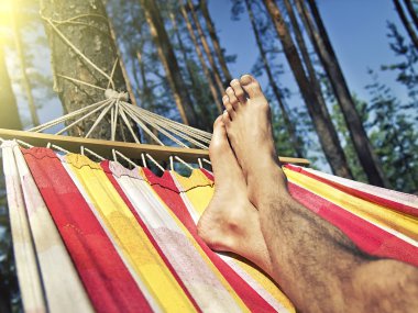 Ayaklar hamakta Çam ormanının arka planında