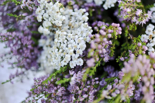 Bouquet of flowers in basket — Stock Photo, Image