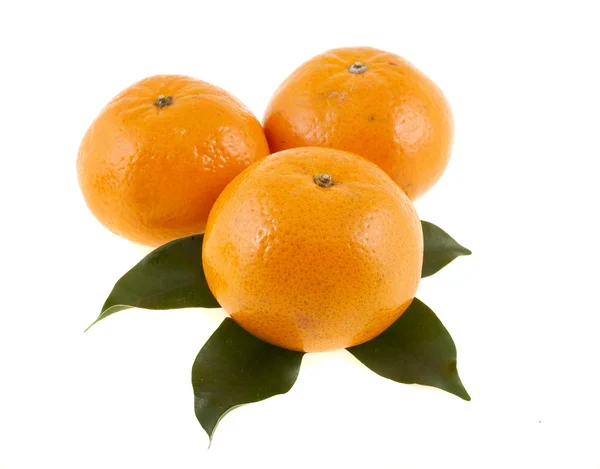 Tangerinas isoladas sobre fundo branco — Fotografia de Stock