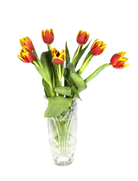 Tulpenstrauß in einer Kristallvase auf weißem Hintergrund — Stockfoto