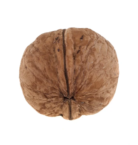 Walnut isolated on white background — Stock Photo, Image