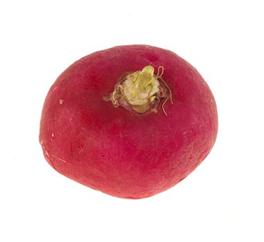 Beyaz arkaplanda turp