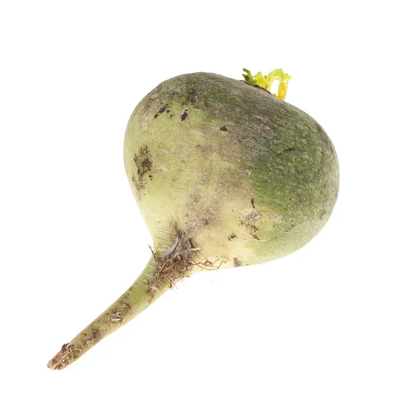 Green turnip isolated on white background — Stock Photo, Image