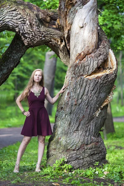 Chica en vestido de pie cerca de un árbol en el parque — Foto de Stock