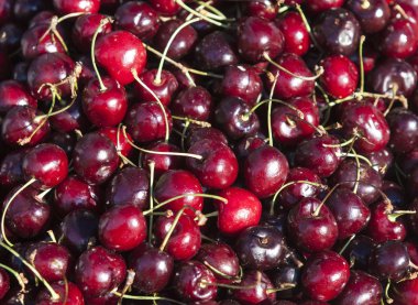 Arka plan: Olgun Kiraz