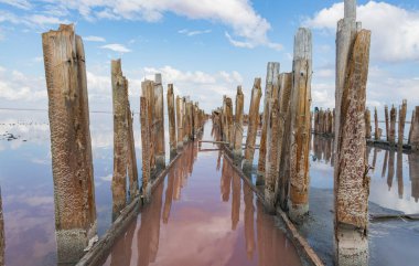 Kırım. Pembe göl. Sasyk-Sivash tuz gölündeki yıkılmış barajın parlak pembe ahşap kalıntıları.