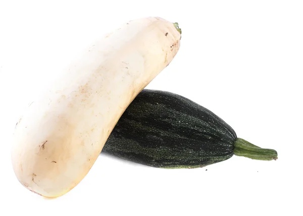 Dua zucchini — Stok Foto