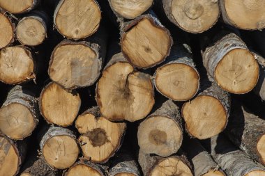 yakacak odun