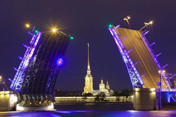 Rusya. Saint Petersburg - sembolü Palace Bridge boşandı